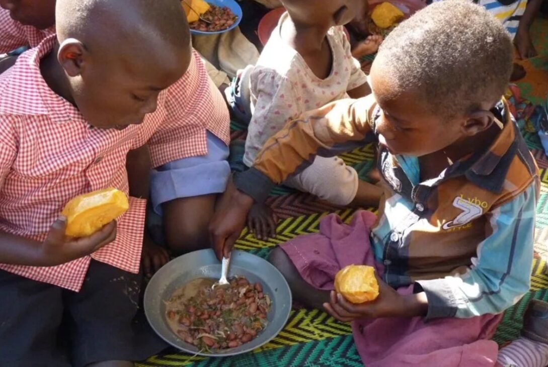 Alerta global: ¿Por qué mueren casi 5 millones de niños menores de 5 años cada año?